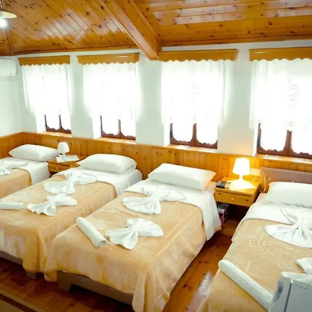 호텔 Domino Gjirokastër