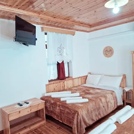 Hotel Domino *