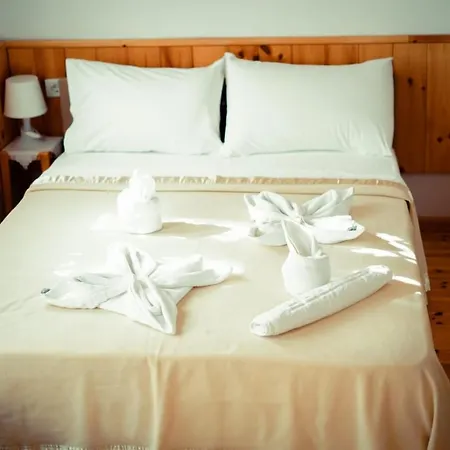 Domino Hotel *