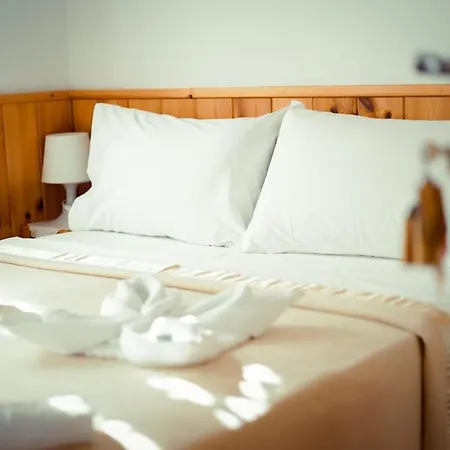 Hotel Domino